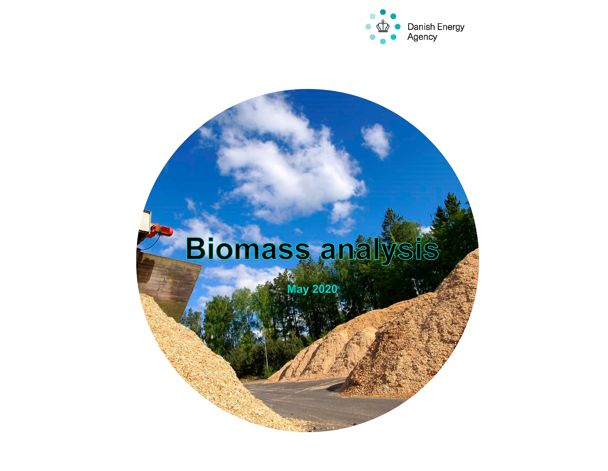 Biomass analysis has been translated into English