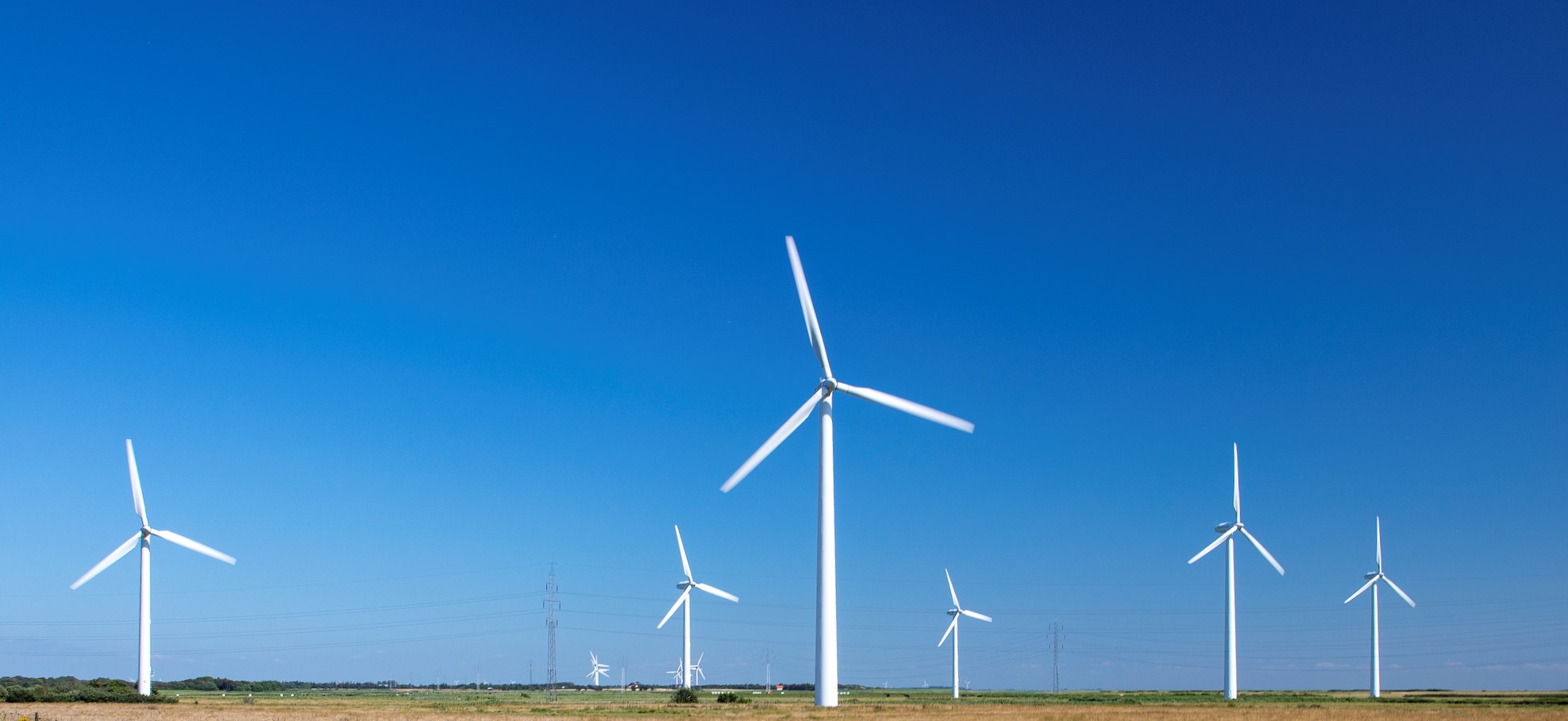 Markant stigning i grøn eksport