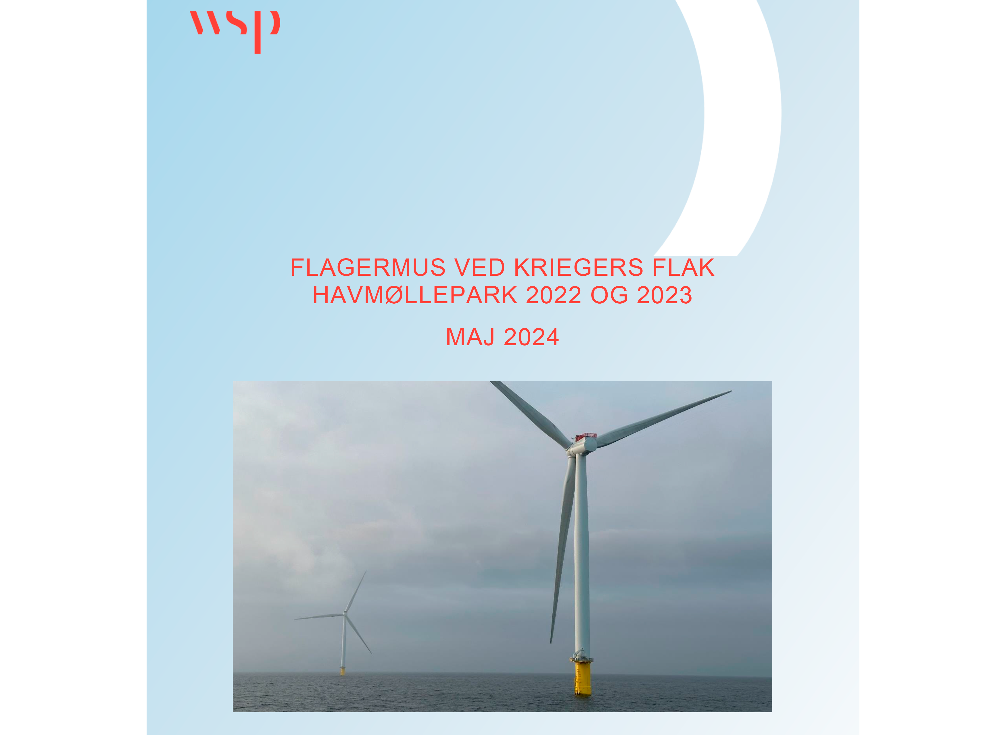 Illustration: WSP's rapport 'Flagermus ved Kriegers Flak Havmøllepark 2022 2022 OG 2023, Maj 2024