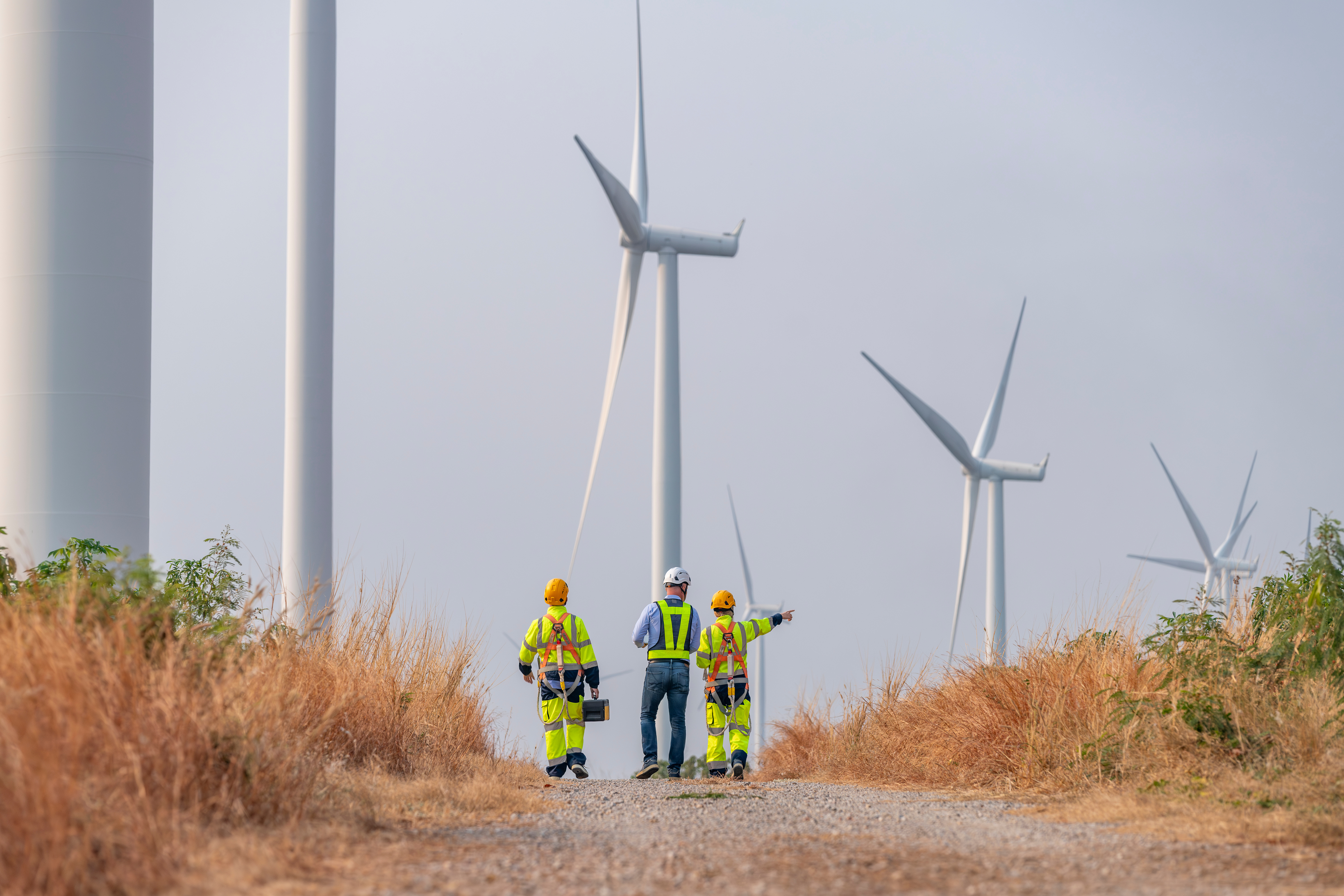 Tre arbejdere der går på en sti langs vindmølleanlæg