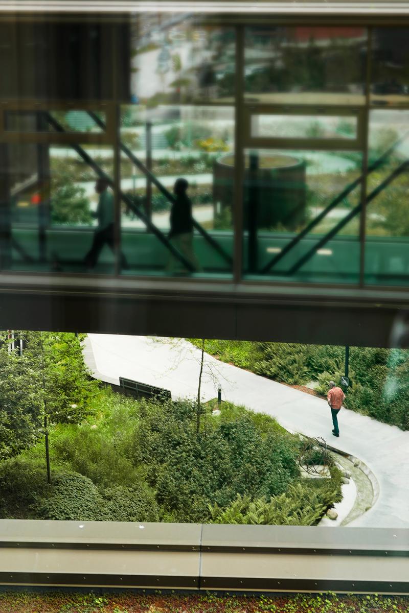 Mellemgang mellem to bygninger med noget grønt og en sti under