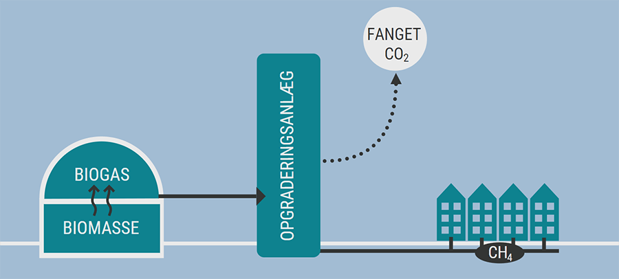 Capture of CO2 from biogas