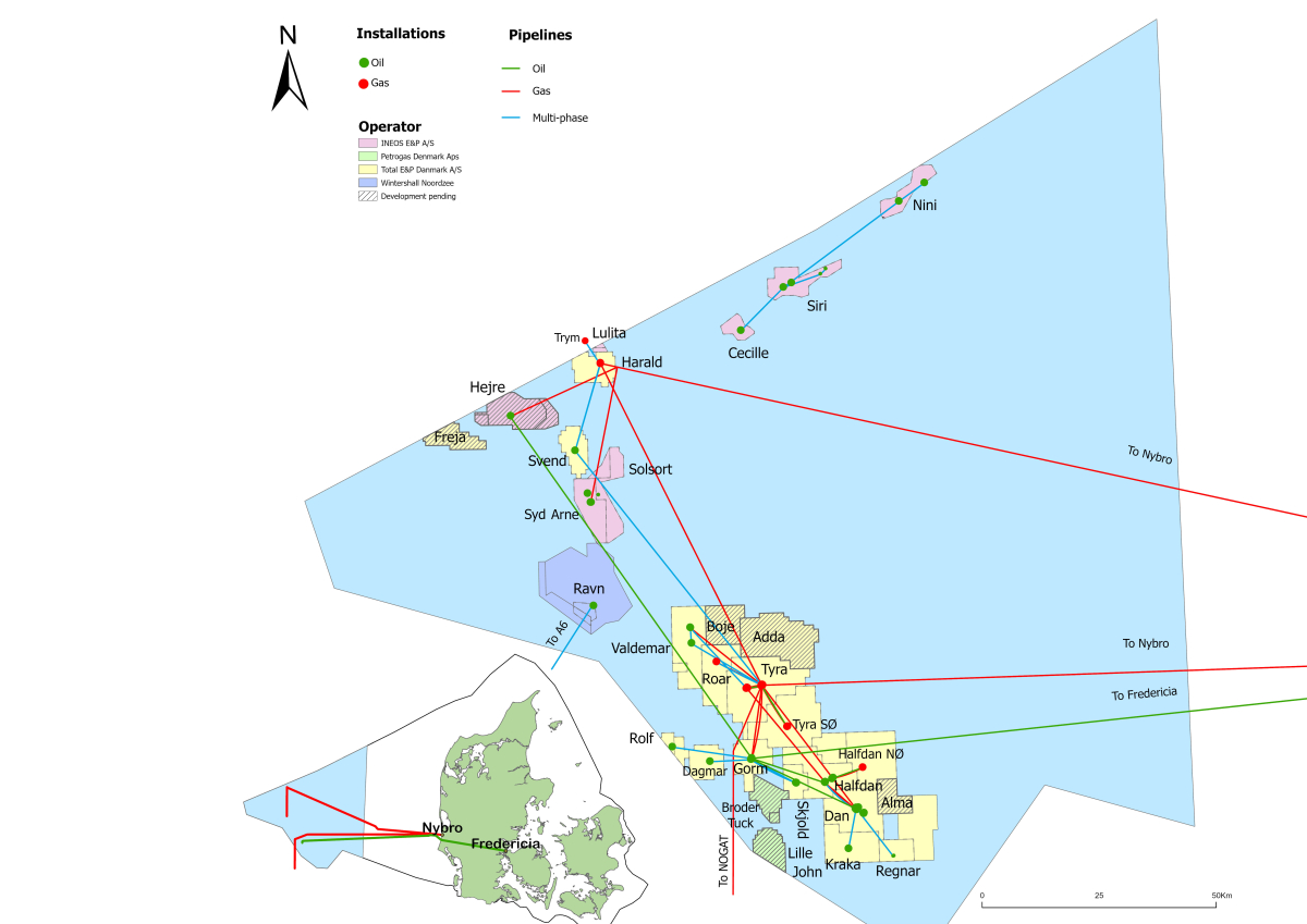The image is a visualization of the oil and gas fields in the Danish part of the North Sea.