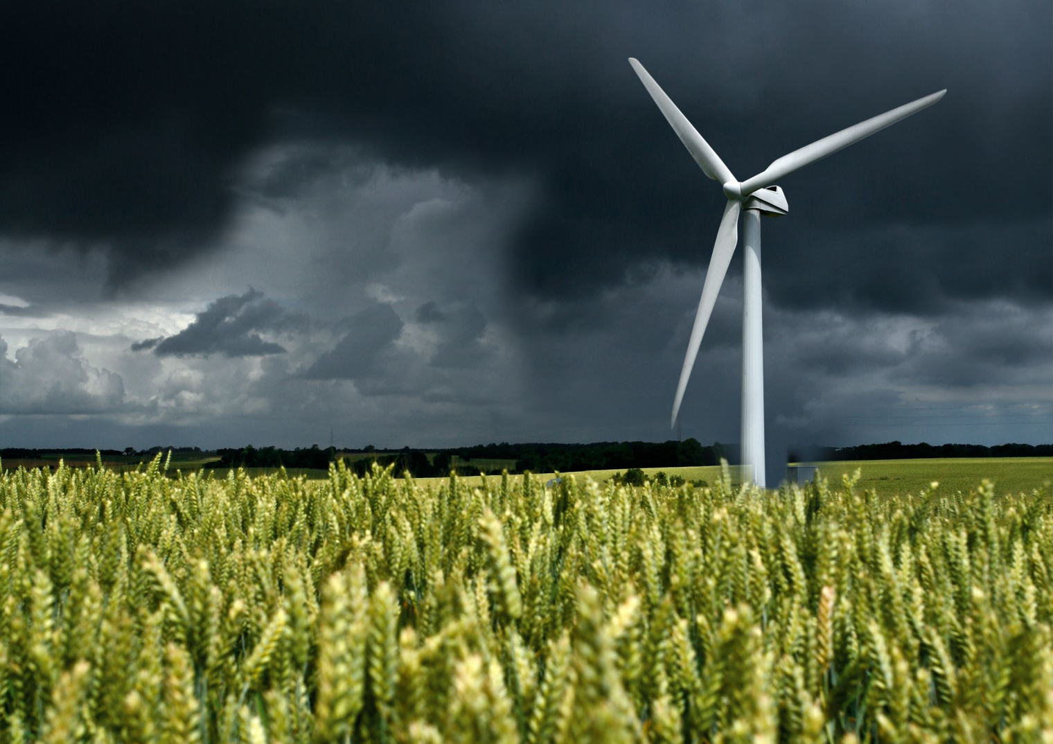 New report: How a state energy company like Ørsted shifted from black to green energy – and the regulatory framework that made it possible