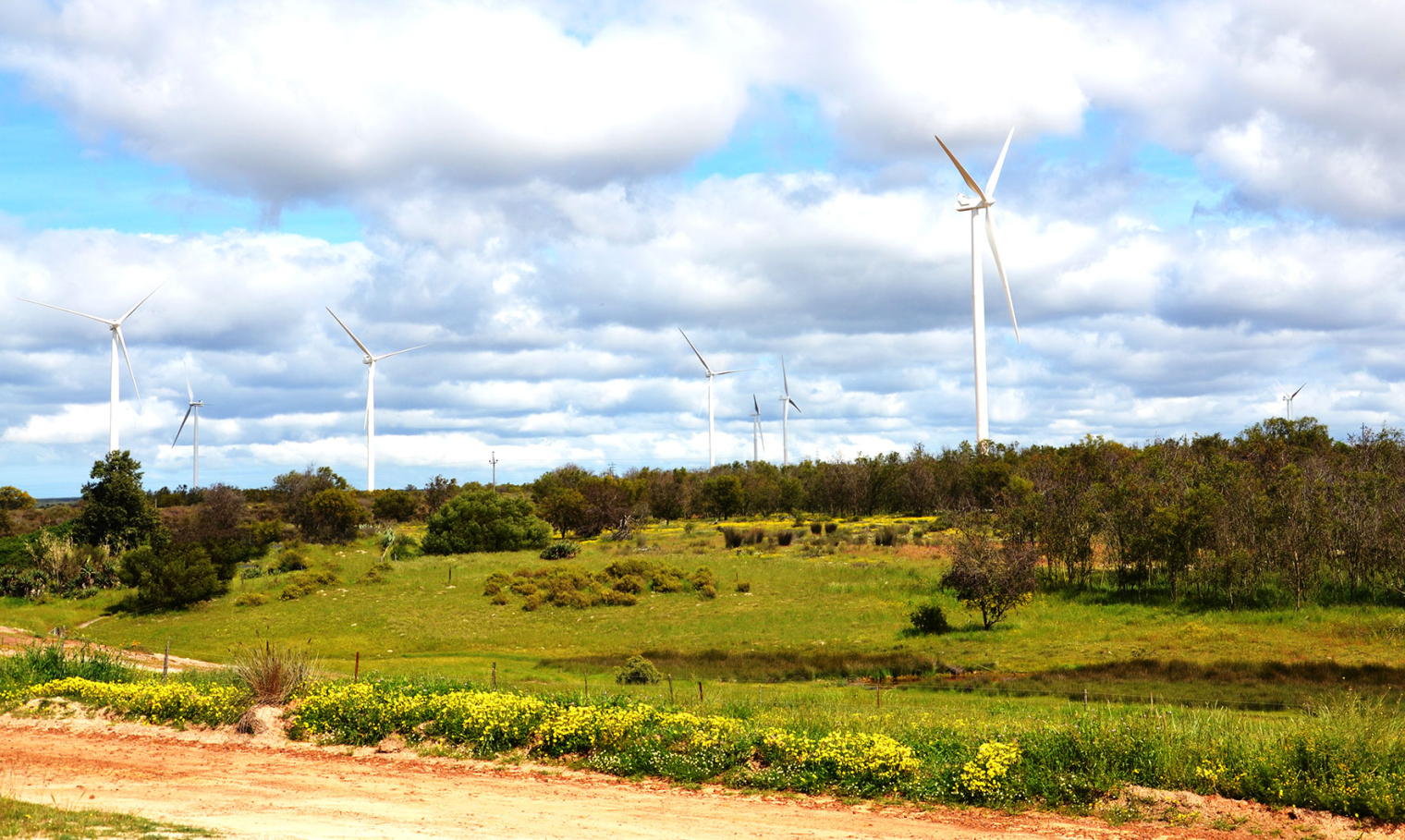 Cooperation between IEA and IRENA on renewable energy in South Africa