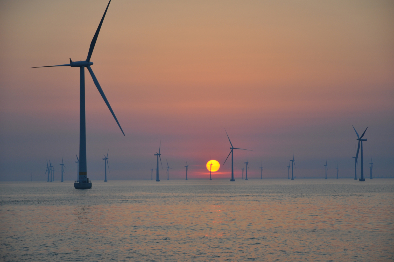 Her skal Danmarks næste havvindmøllepark ligge