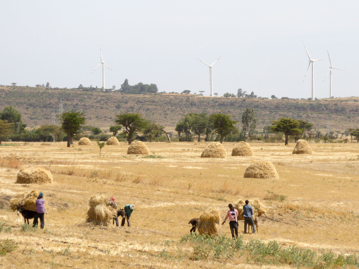 Danish wind expertise to ensure growth and development in Ethiopia