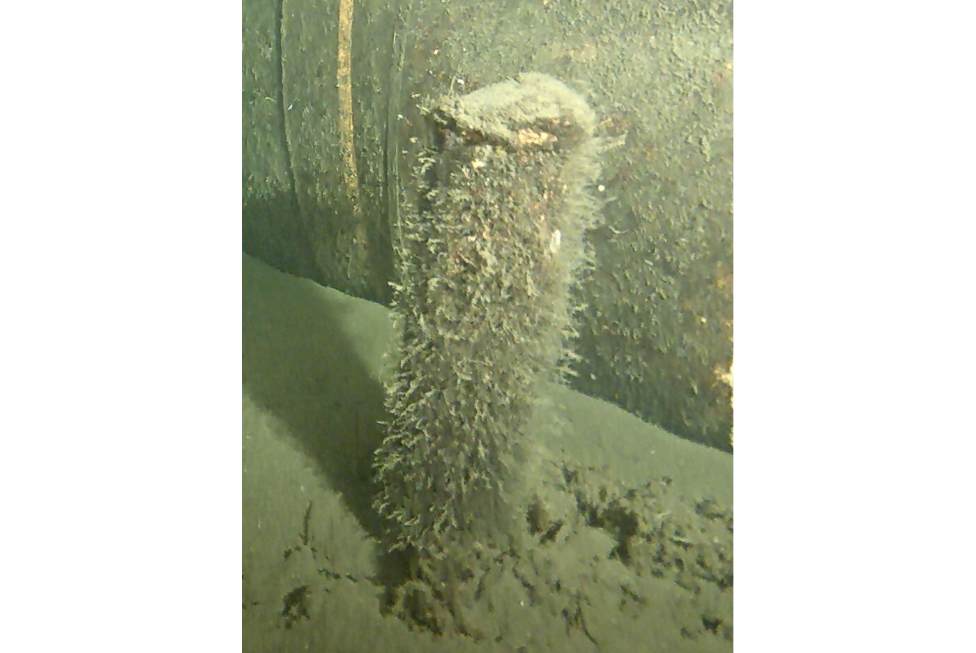 The object is cylindrical and is about 40 cm tall and 10 cm in diameter. It is possible that the object is a maritime smoke buoy. This will be further examined.
Source: The Danish Ministry of Defence.