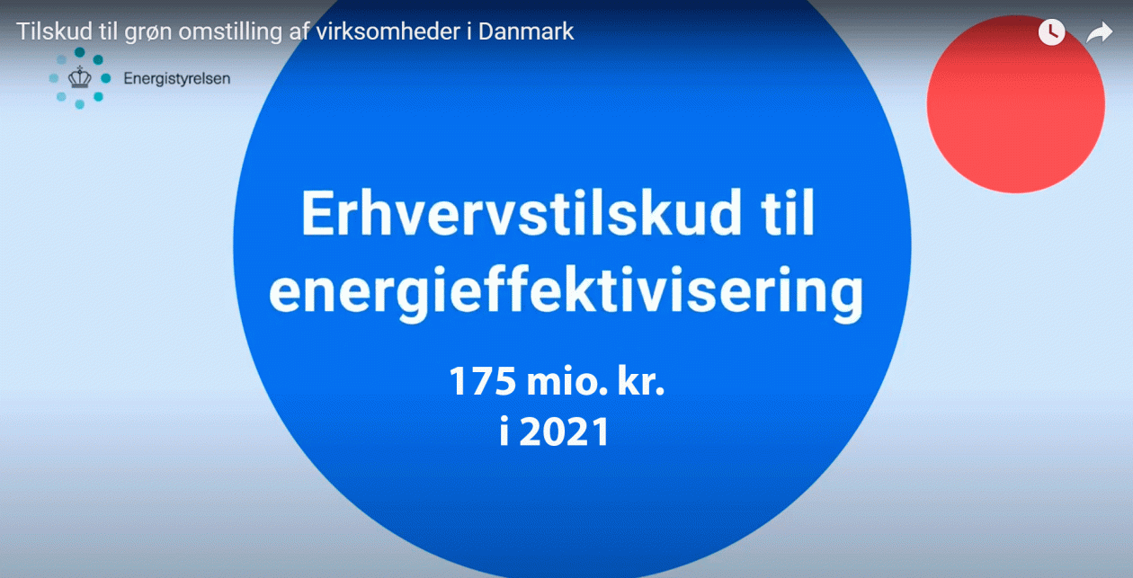 175 millioner giver styrke til grøn SMV-bølge