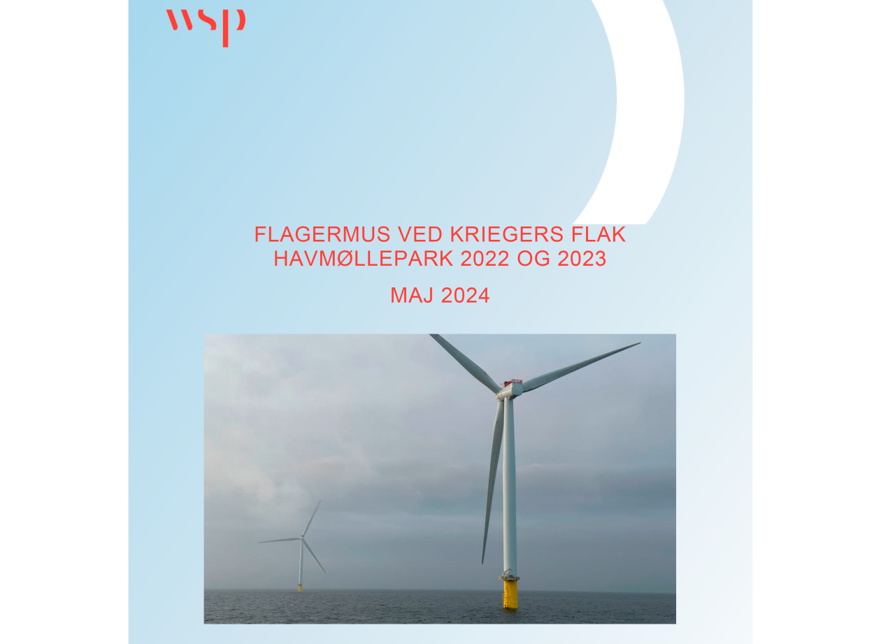 Illustration: WSP's rapport 'Flagermus ved Kriegers Flak Havmøllepark 2022 2022 OG 2023, Maj 2024