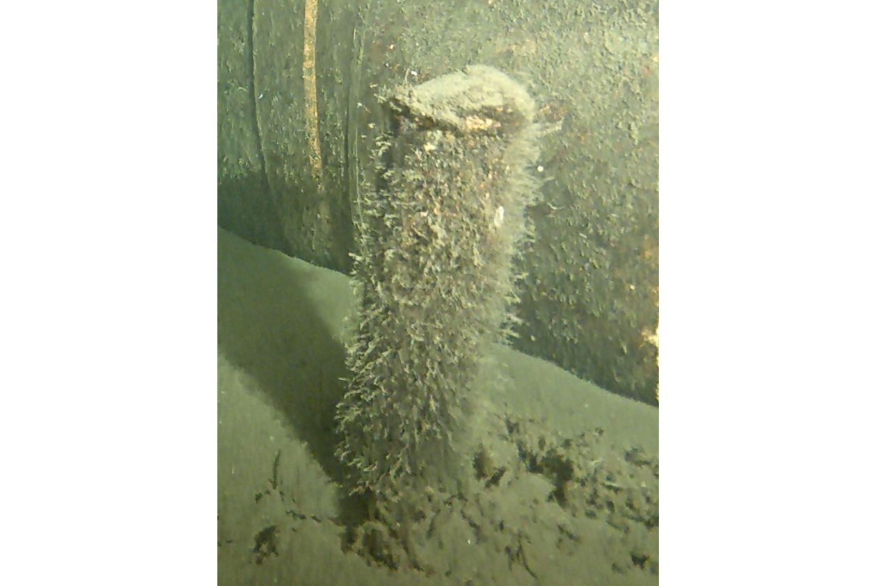 The object is cylindrical and is about 40 cm tall and 10 cm in diameter. It is possible that the object is a maritime smoke buoy. This will be further examined.
Source: The Danish Ministry of Defence.