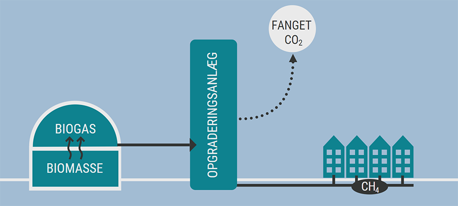 Figur: Udskillelse af CO2 fra biogas