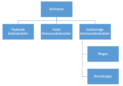 Overblik over kategorier af biomasse. Webtilgængelig oversigt nedenfor