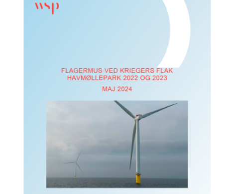 Illustration: WSP's rapport 'Flagermus ved Kriegers Flak Havmøllepark 2022 2022 OG 2023, Maj 2024