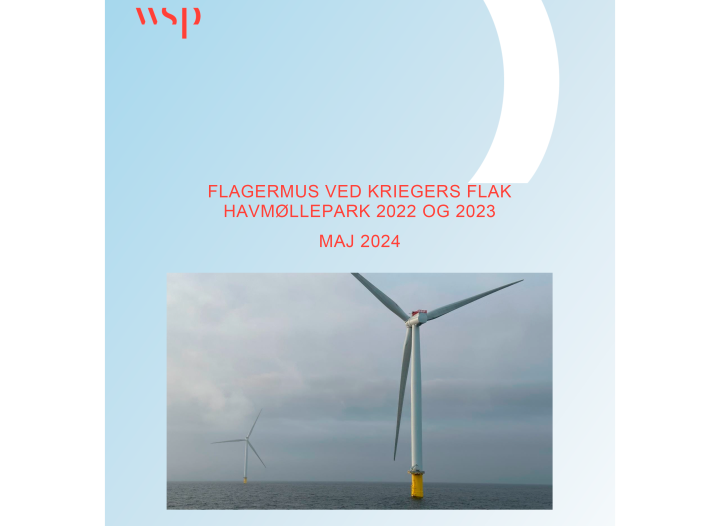 Illustration: WSP's rapport 'Flagermus ved Kriegers Flak Havmøllepark 2022 2022 OG 2023, Maj 2024